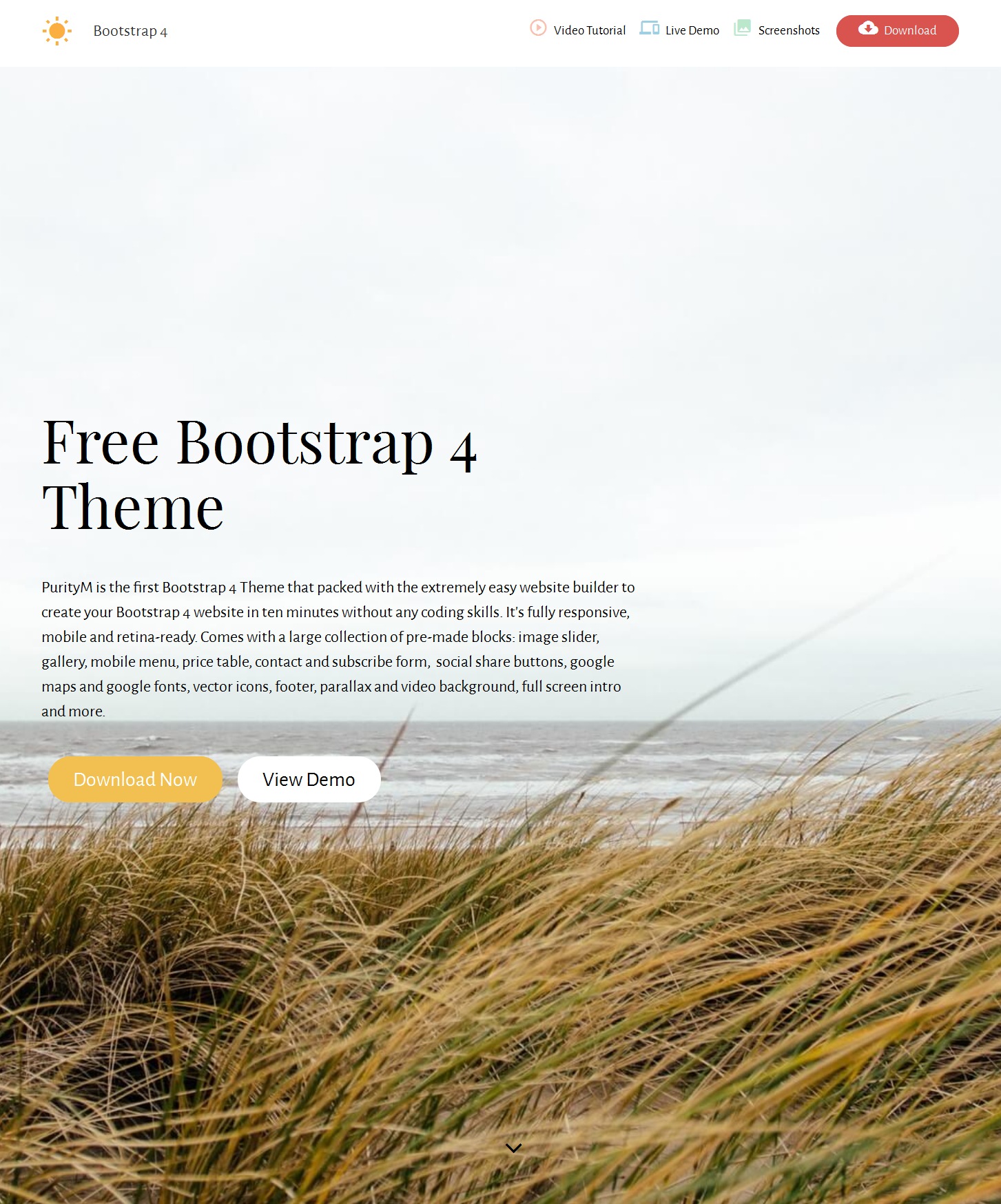 CSS3 Bootstrap Video Theme