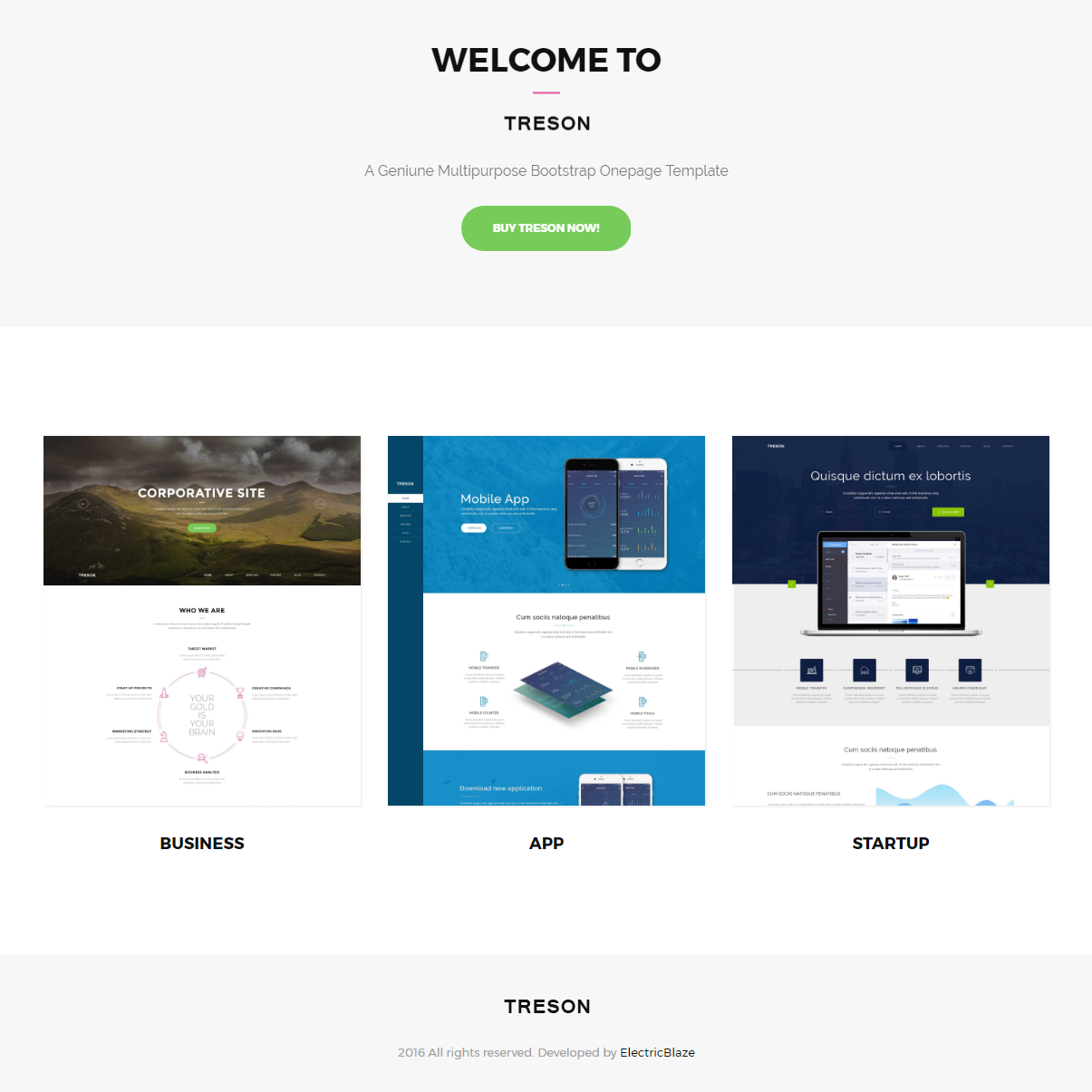 CSS3 Bootstrap Treson Themes