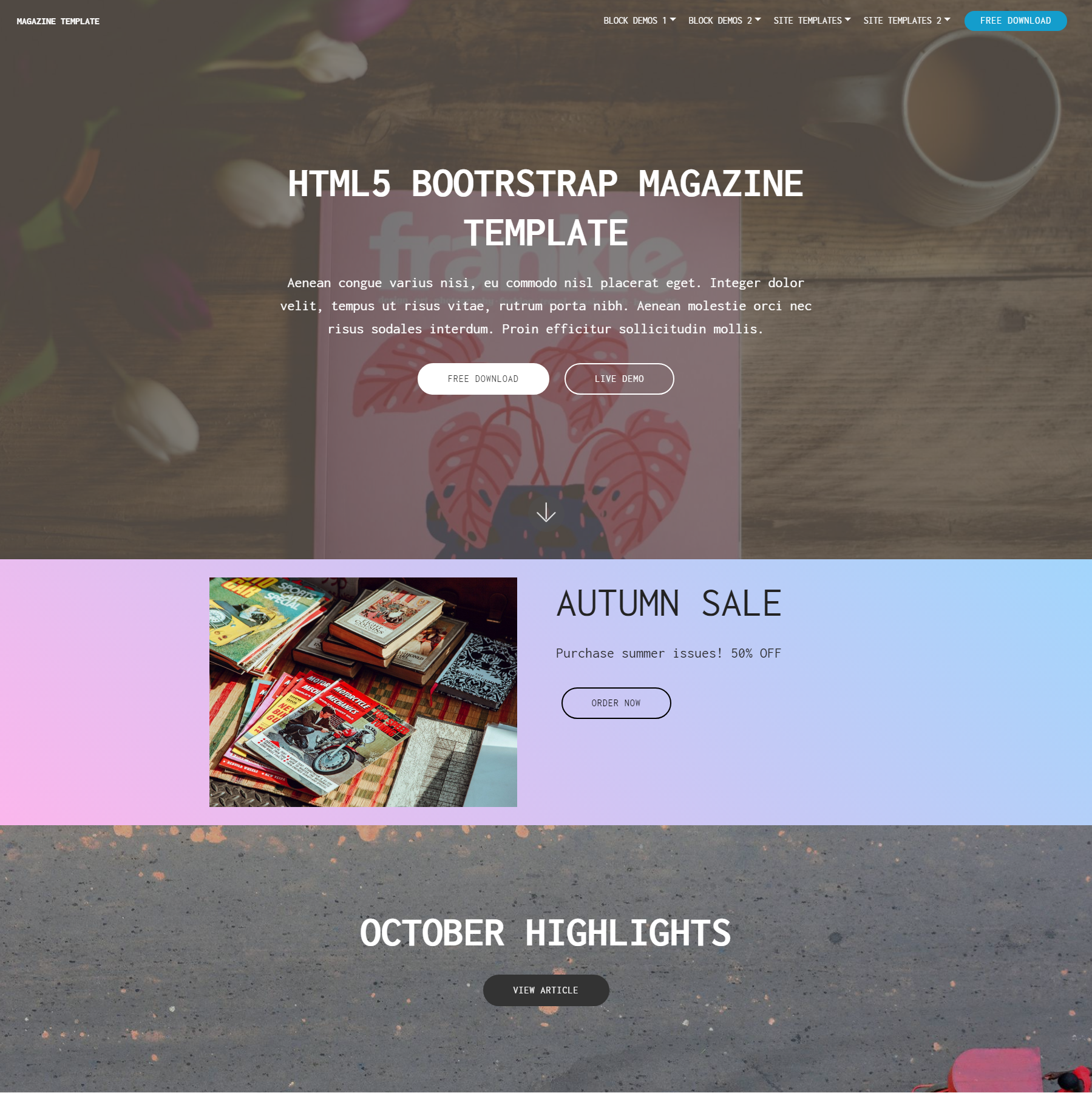 Responsive Bootstrap Magazine Themes