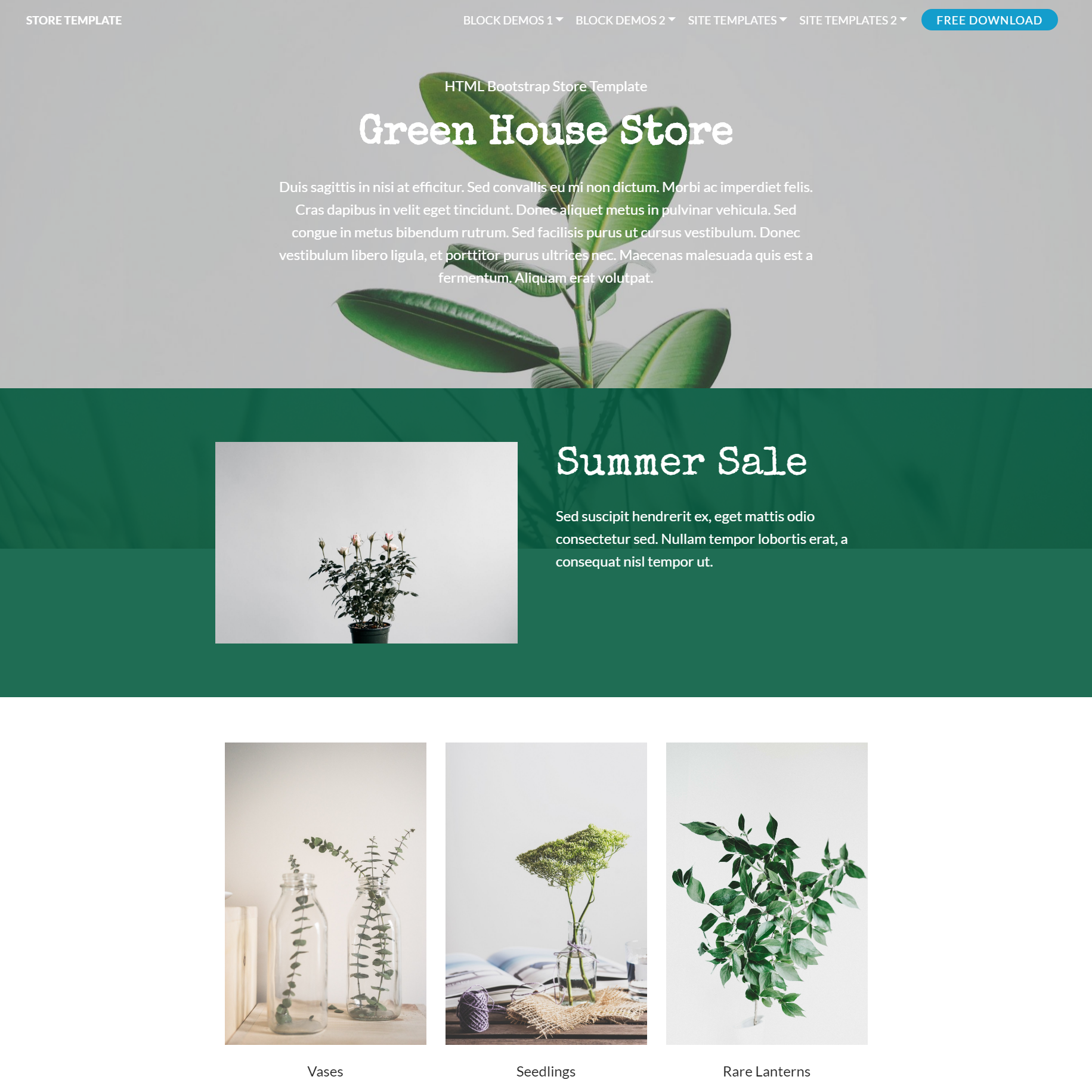 HTML5 Bootstrap Store Themes